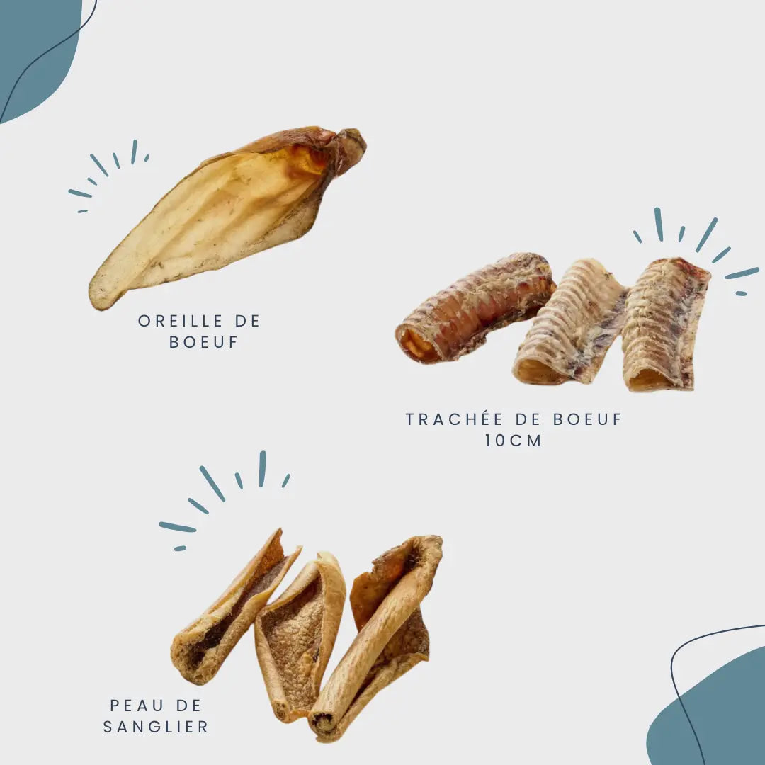 CROC'FEROCE Le Palais Canin