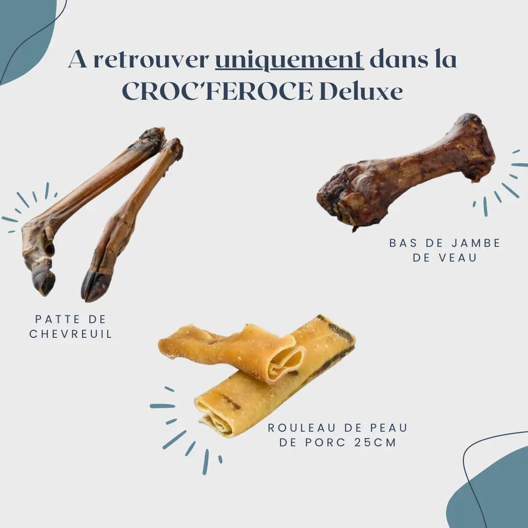 CROC'FEROCE Le Palais Canin