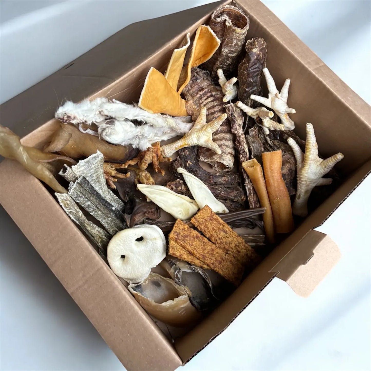 CROC'GOURMAND Le Palais Canin