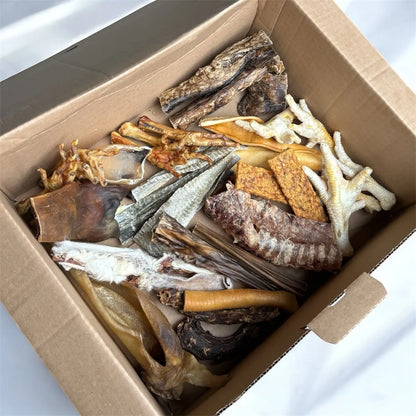 CROC'GOURMAND Le Palais Canin