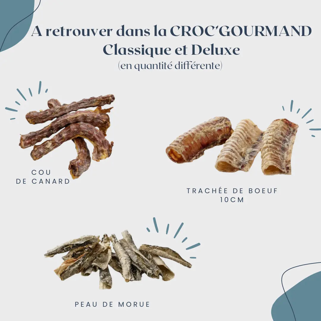 CROC'GOURMAND Le Palais Canin