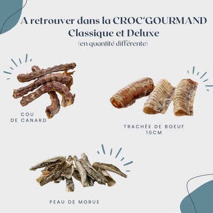 CROC'GOURMAND Le Palais Canin