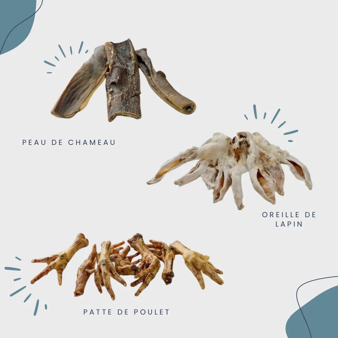 CROC'GOURMAND Le Palais Canin