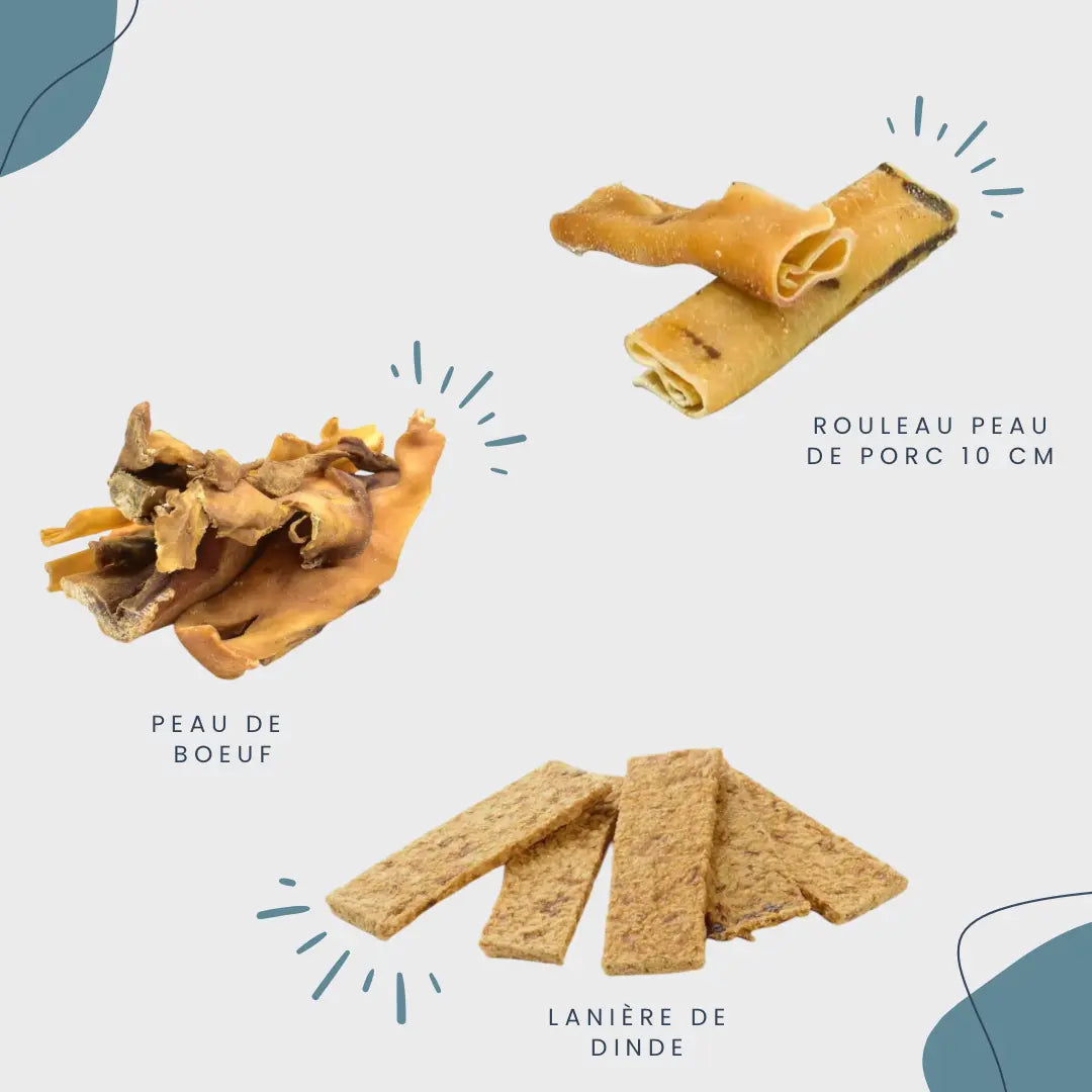 CROC'GOURMAND Le Palais Canin