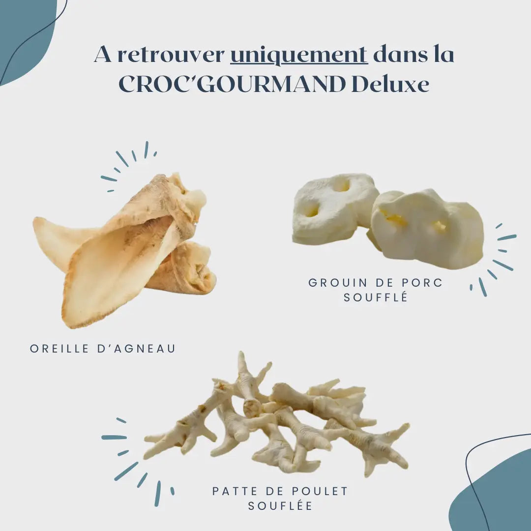 CROC'GOURMAND Le Palais Canin