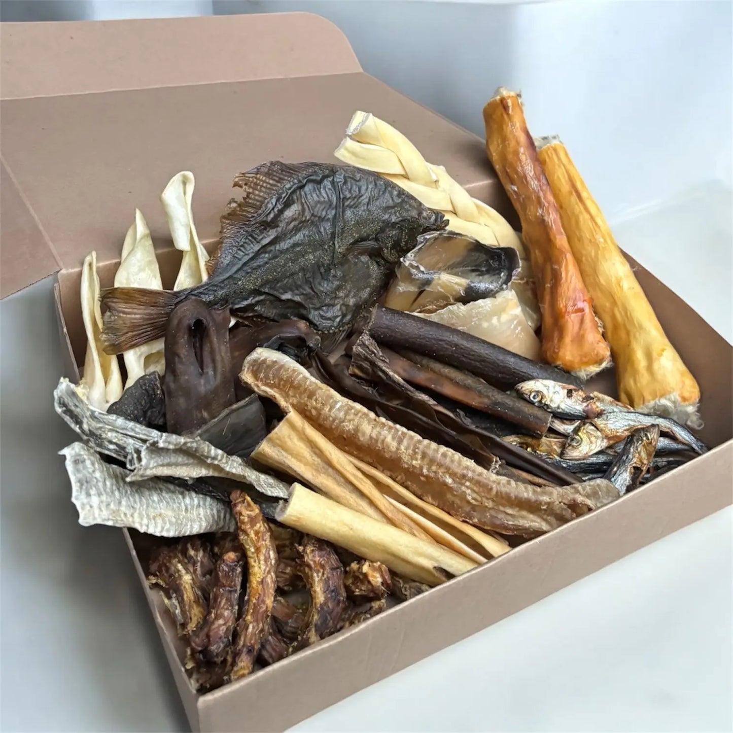 CROC'SENSIBLE Le Palais Canin