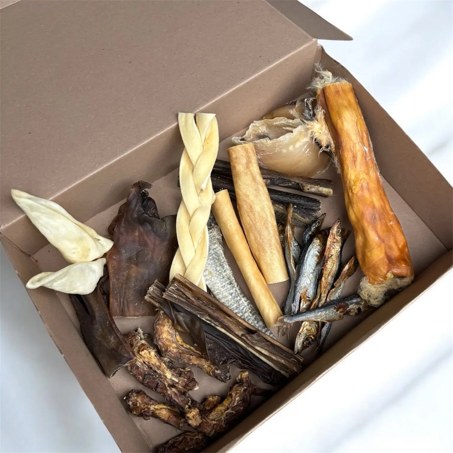 CROC'SENSIBLE Le Palais Canin