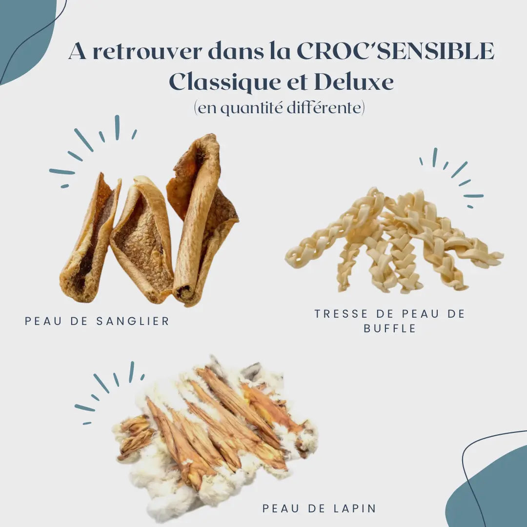 CROC'SENSIBLE Le Palais Canin