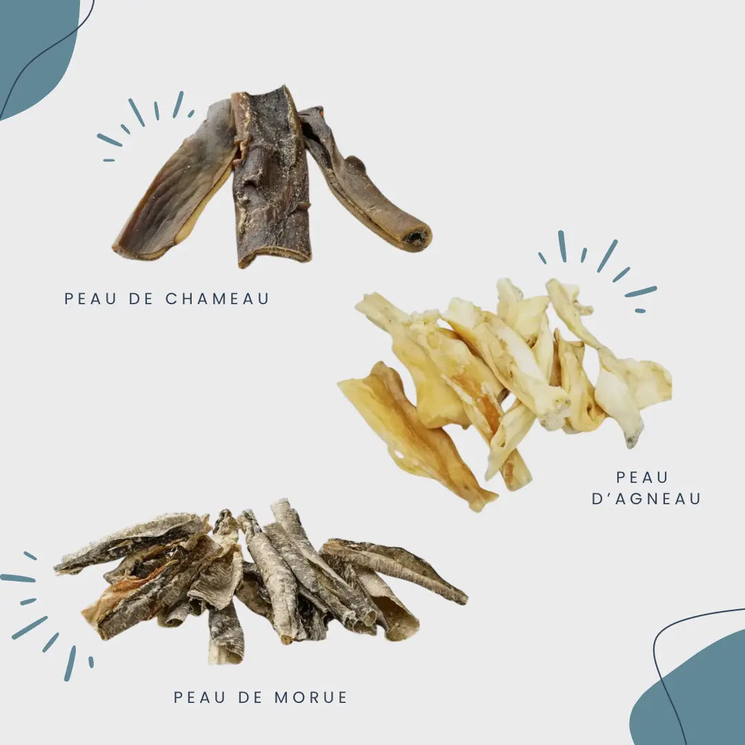 CROC'SENSIBLE Le Palais Canin