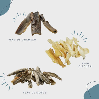 CROC'SENSIBLE Le Palais Canin