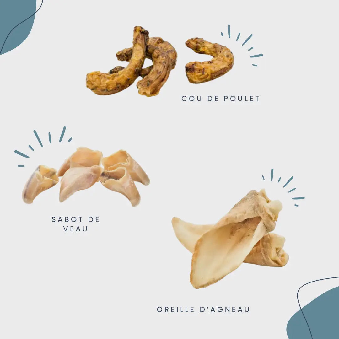 CROC'SENSIBLE Le Palais Canin