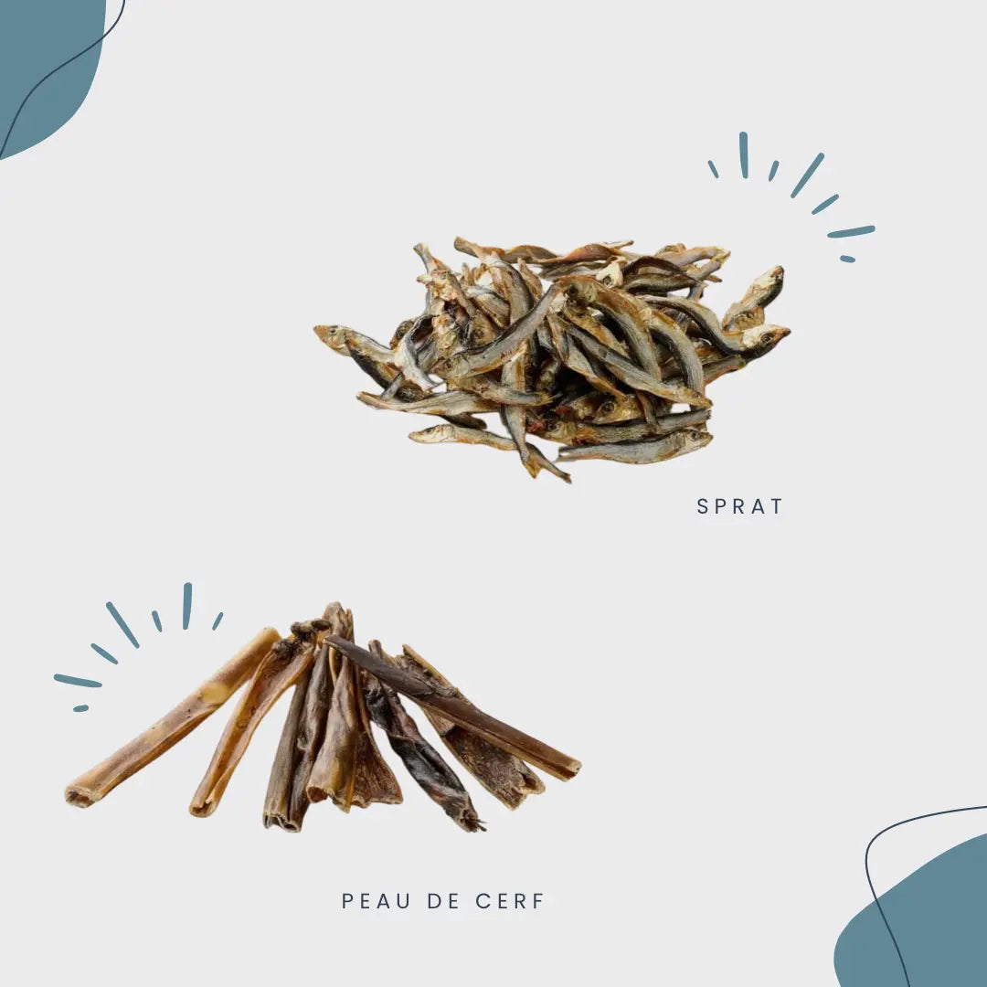 CROC'SENSIBLE Le Palais Canin