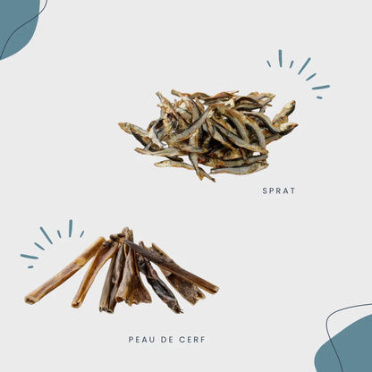 CROC'SENSIBLE Le Palais Canin