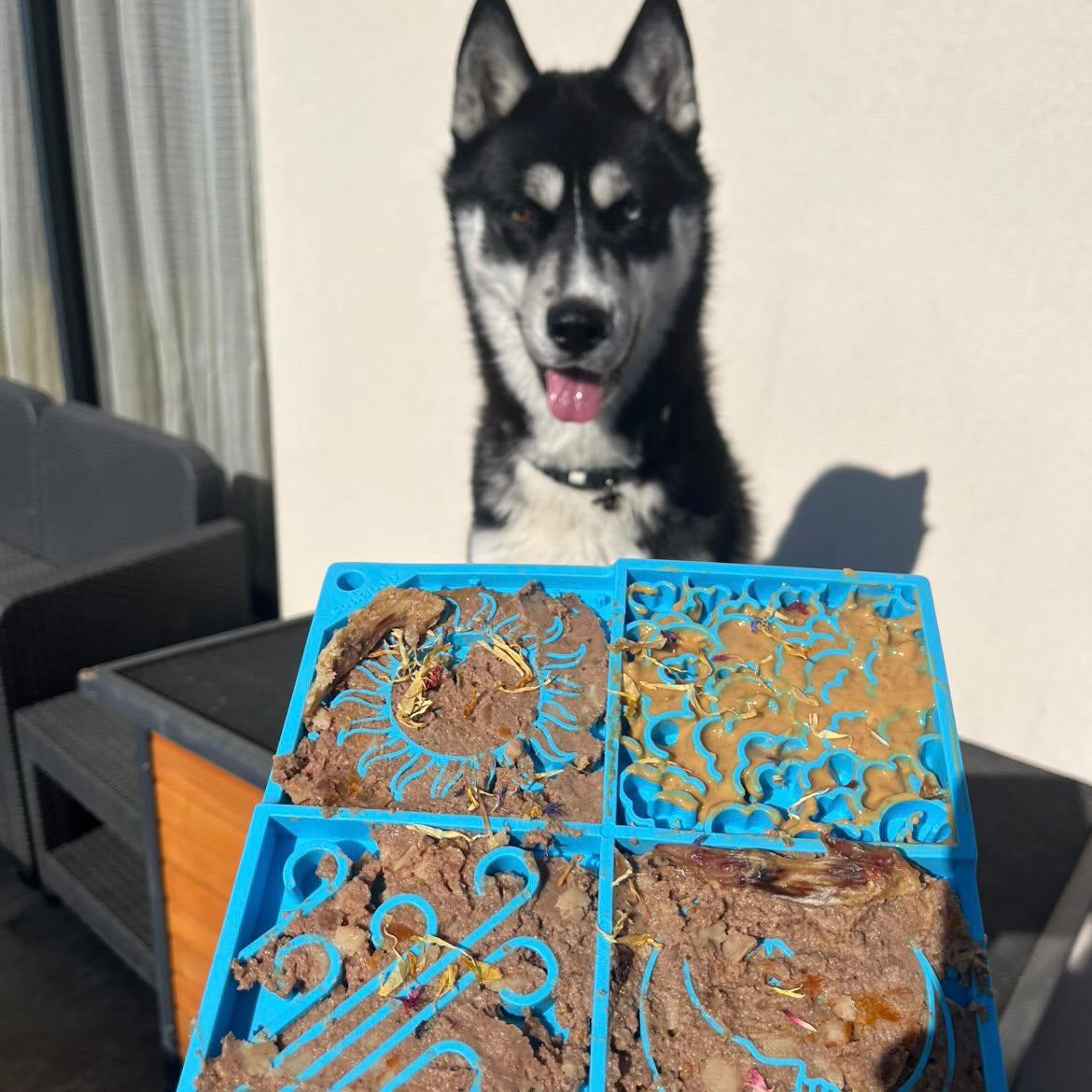 Tapis de léchage - soleil SODAPUP