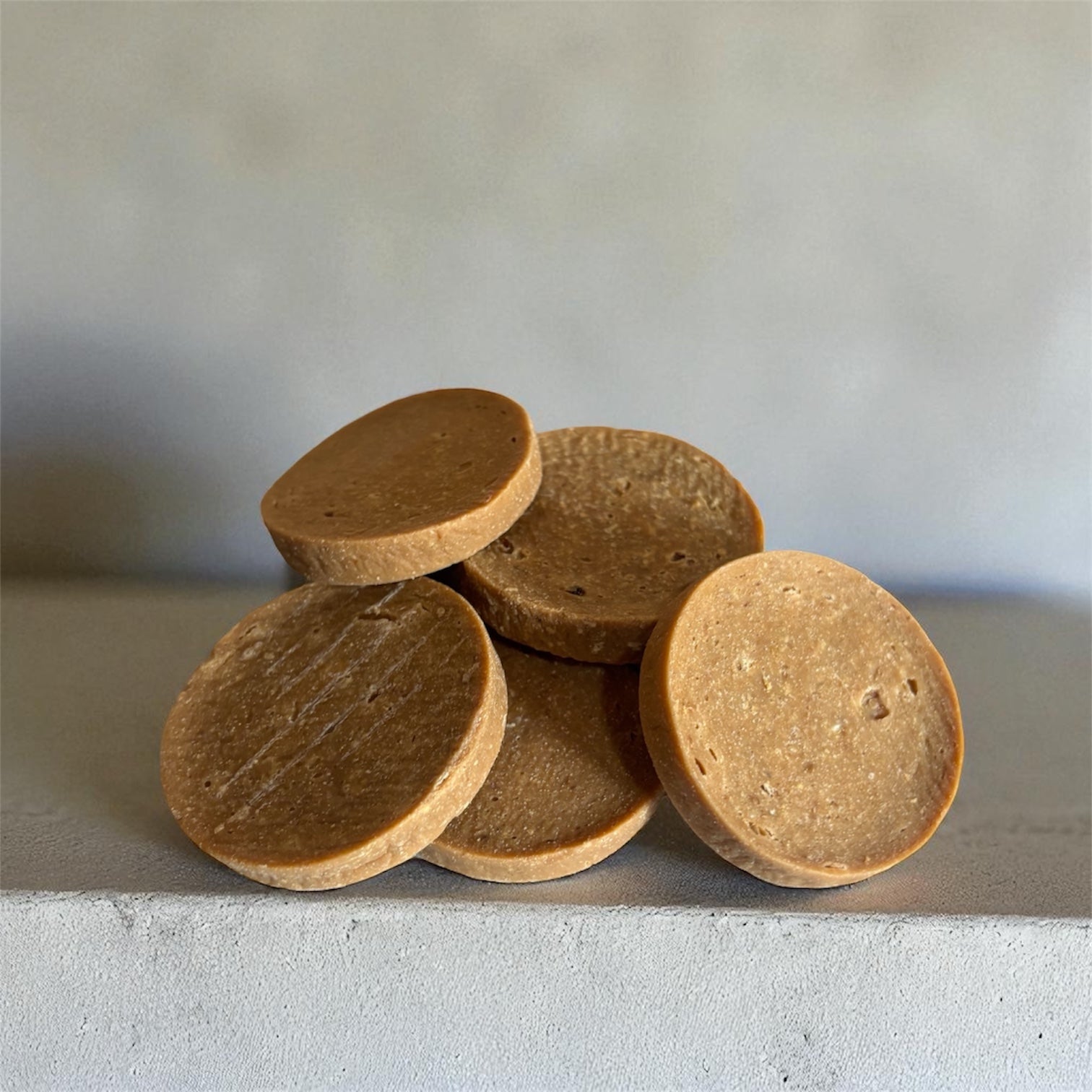 Disques de saumon Le Palais Canin