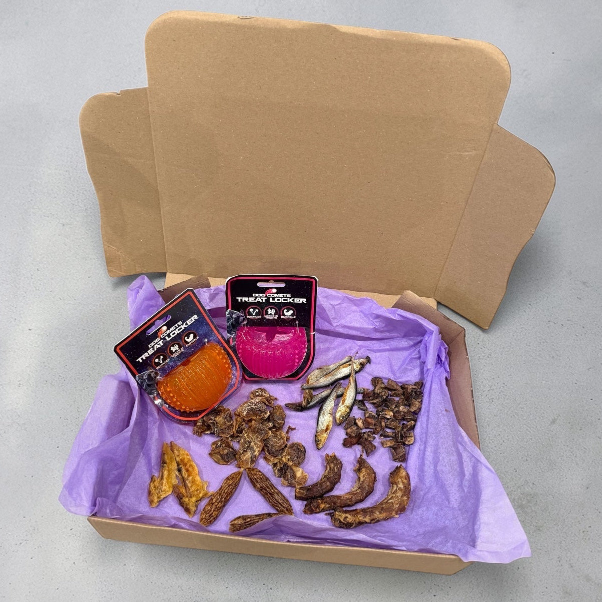 CROC'FUN & FOUILLE Le Palais Canin