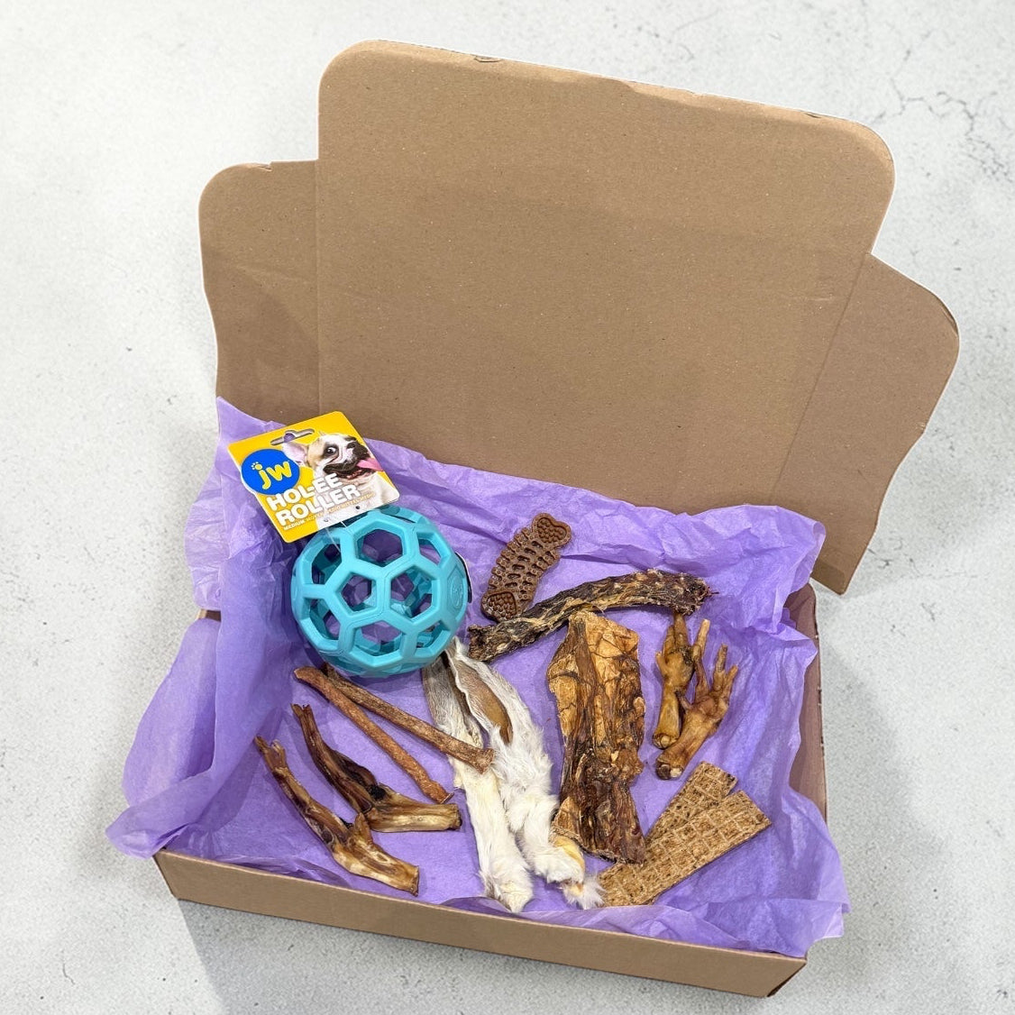 CROC'FUN & FOUILLE Le Palais Canin