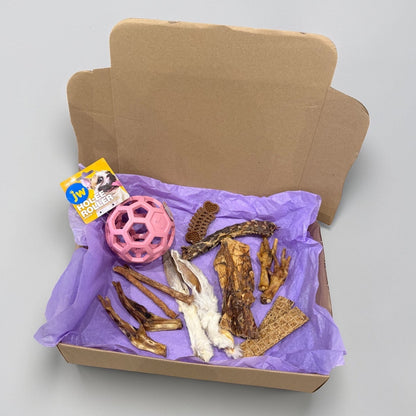 CROC'FUN & FOUILLE Le Palais Canin