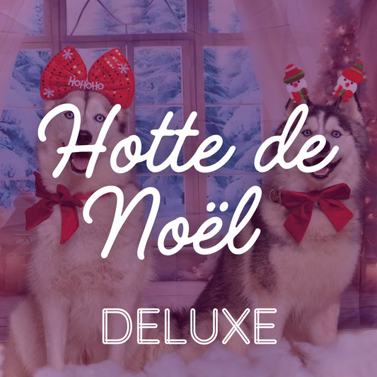 HOTTE DE NOËL DELUXE - 24 cases Le Palais Canin