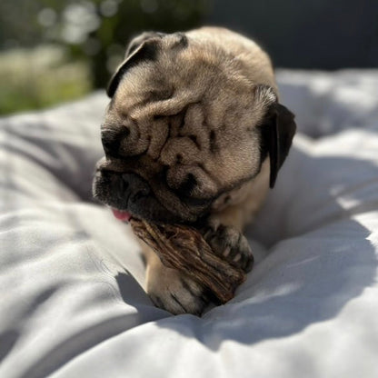 Cou d’autruche Le Palais Canin