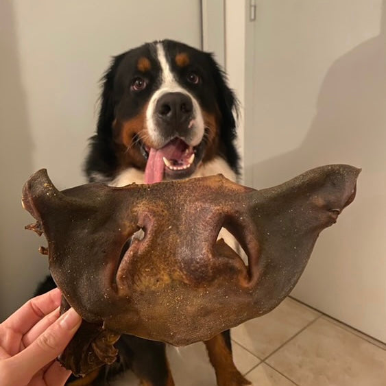 Museau de boeuf entier Le Palais Canin