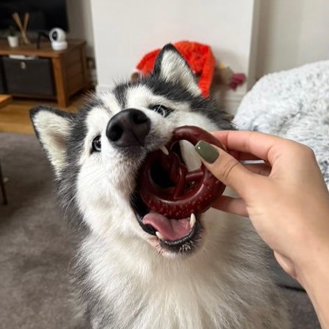 Bretzel poulet-fraise Le Palais Canin