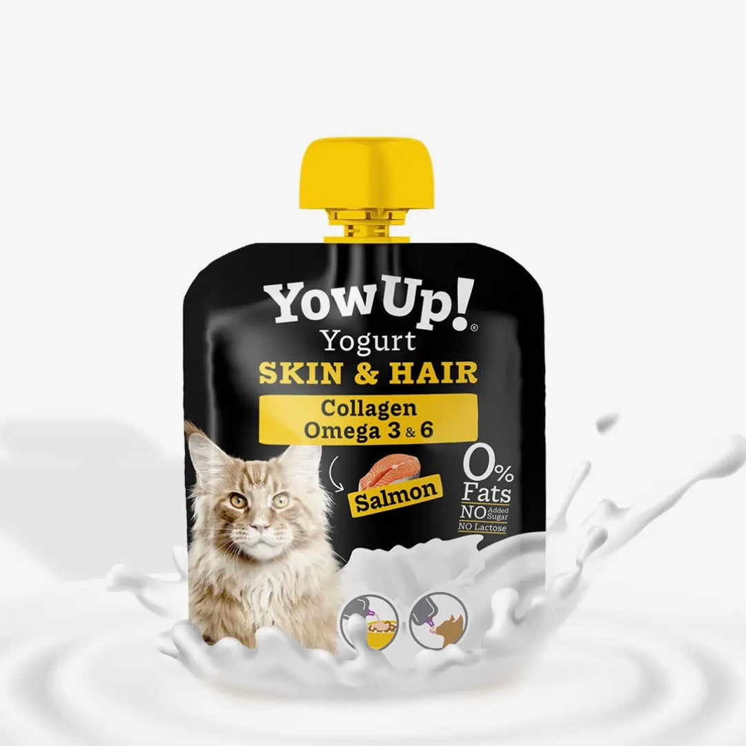 CHAT - Yowup (+ creamy snack offert) YowUp