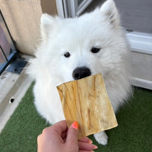 Chips de bœuf