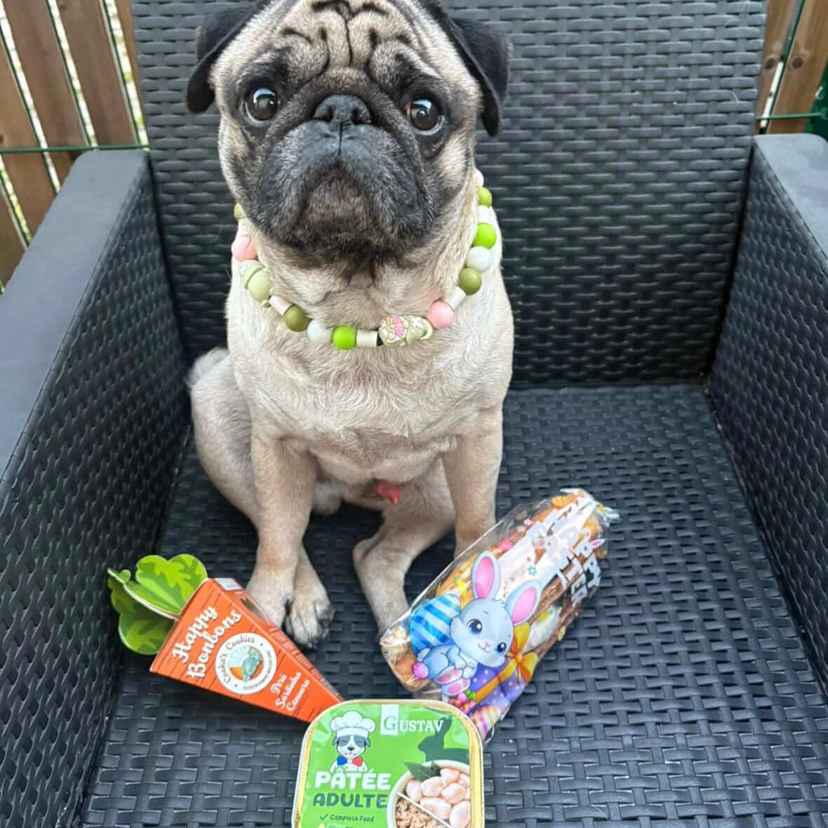 BOX PÂQUES - édition ultra limitée Le Palais Canin