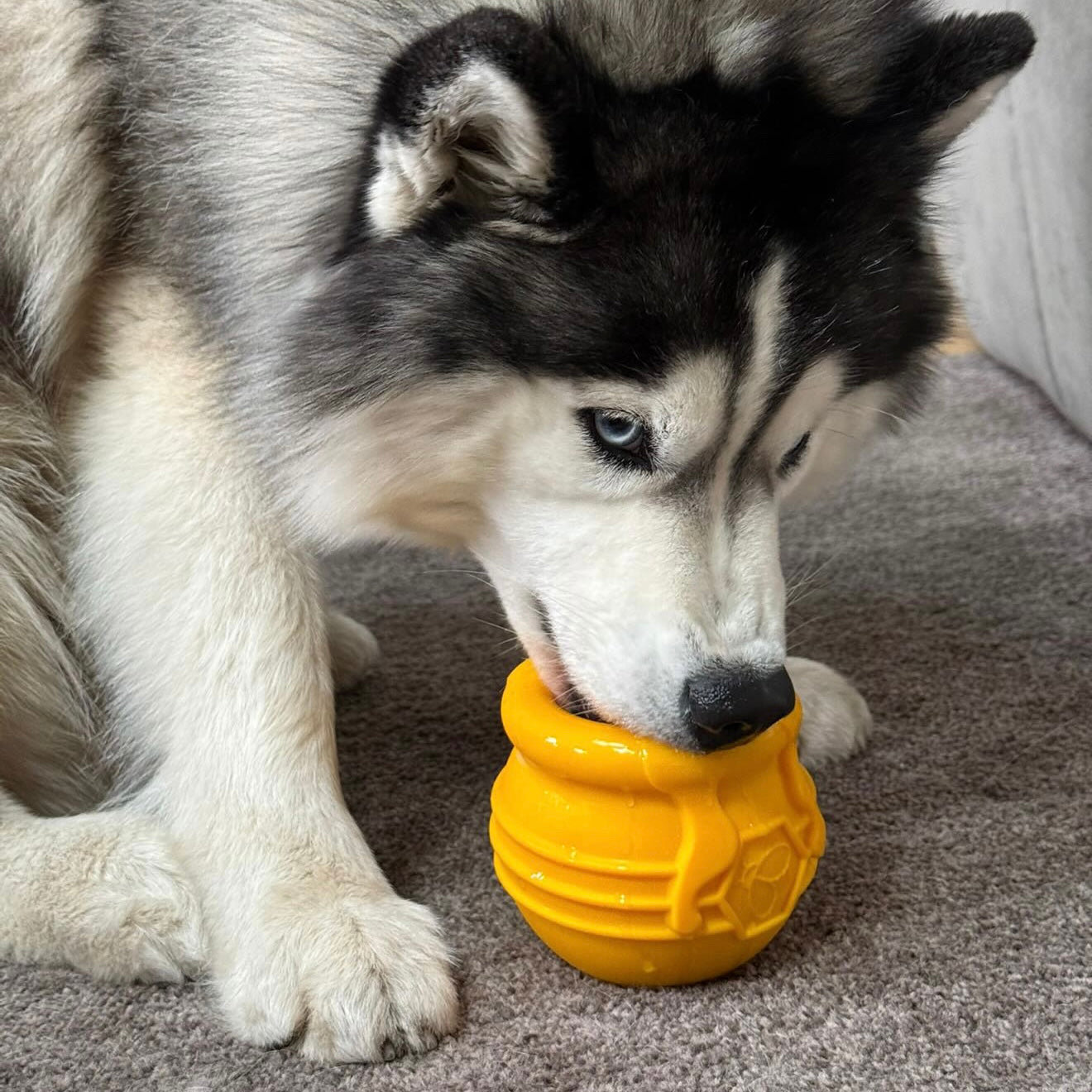 Jouet d'occupation - Pot de miel SODAPUP