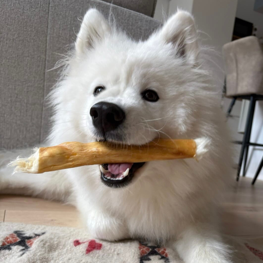 Peau de lapin avec poils Le Palais Canin