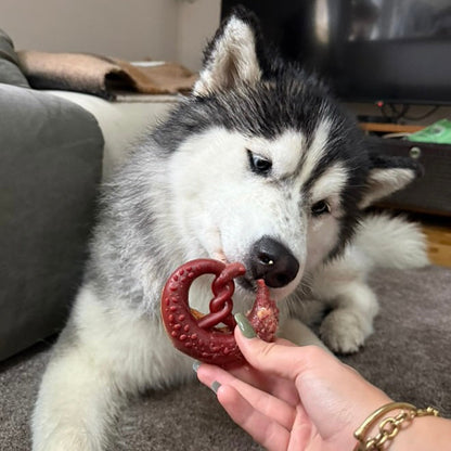 Bretzel poulet-fraise Le Palais Canin