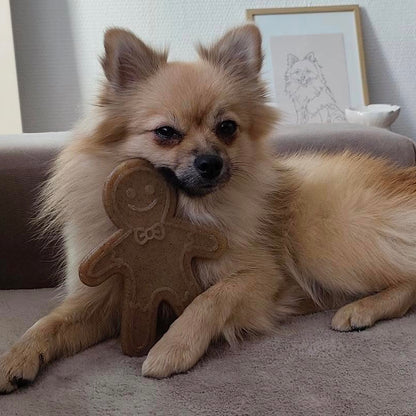 Jouet en nylon résistant - pain d'épice