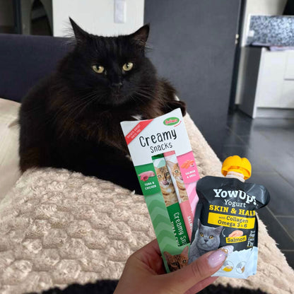 CHAT - Yowup (+ creamy snack offert) YowUp