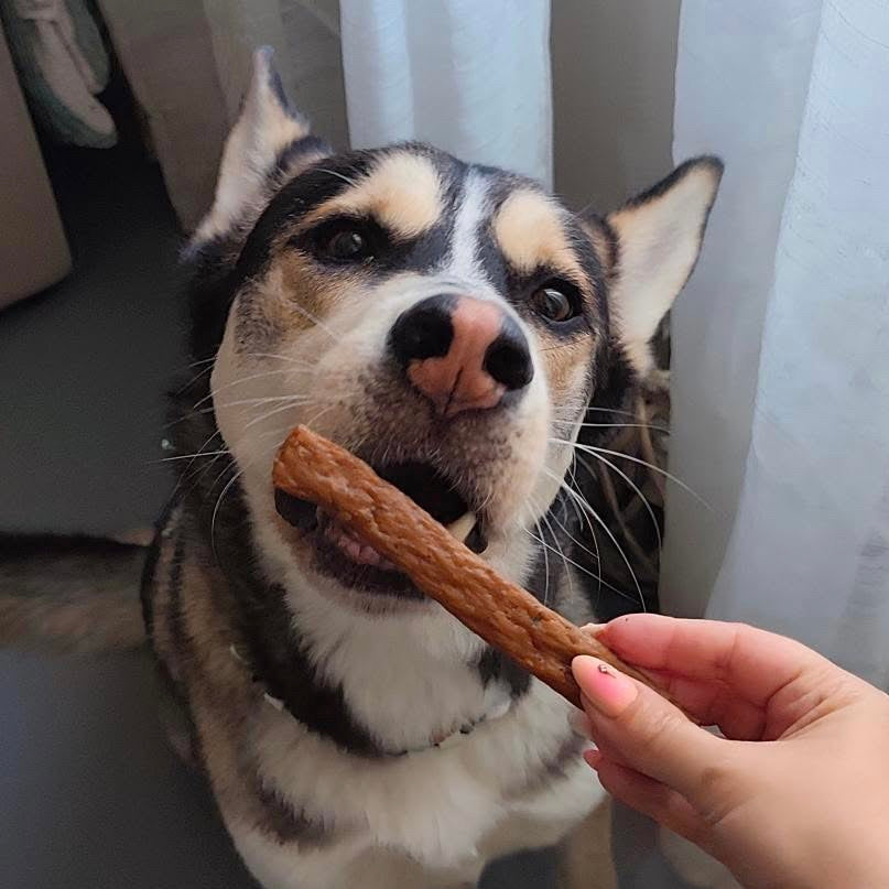 Lanières au poulet Le Palais Canin