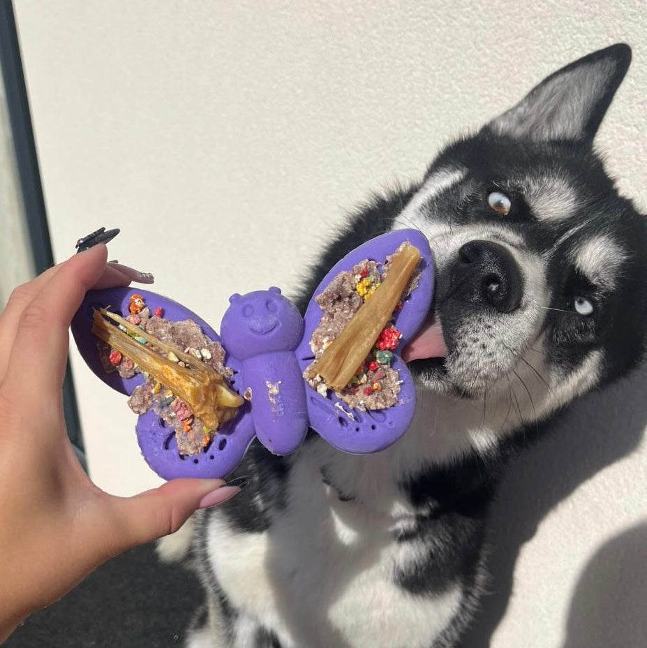 Jouet en nylon résistant - papillon SODAPUP