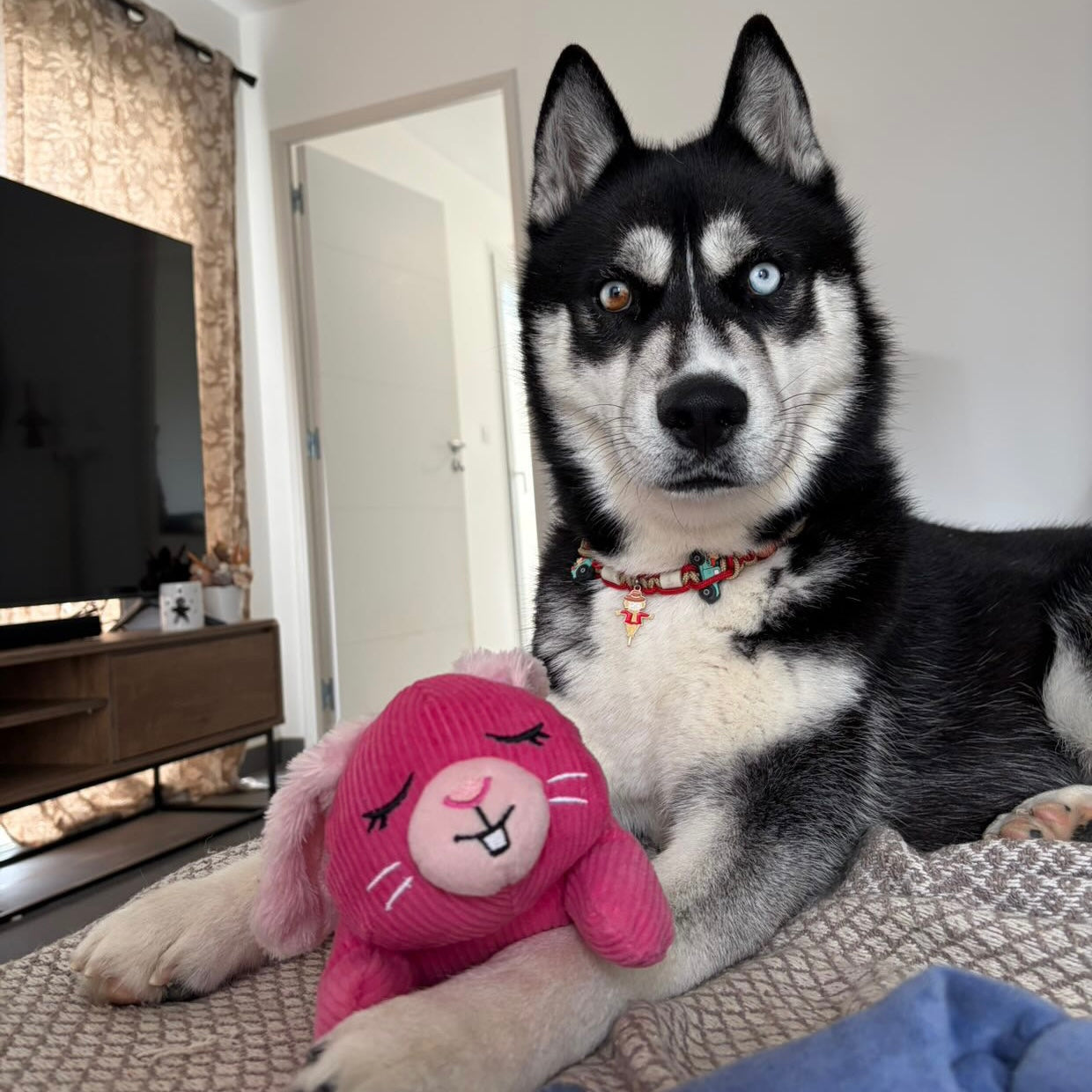 Peluche lapin rose Le Palais Canin