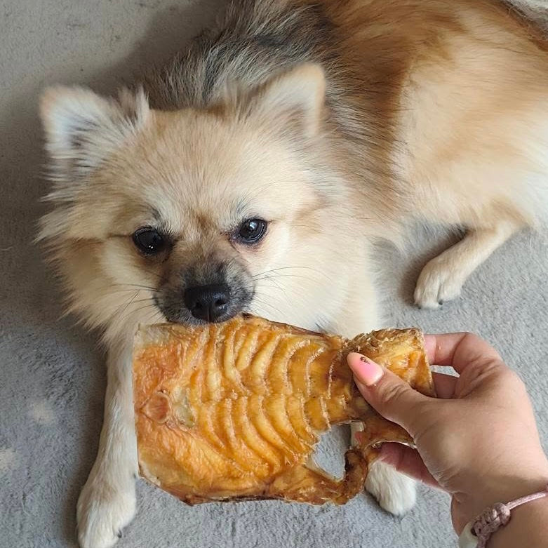 Palais de bœuf Le Palais Canin