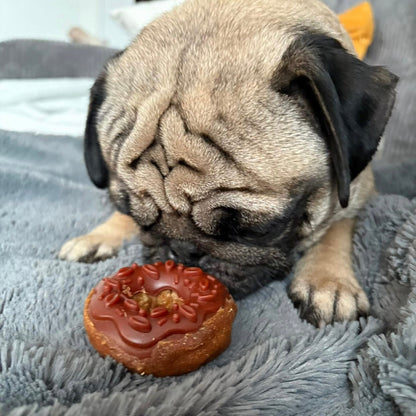 Donuts poulet-myrtille Le Palais Canin