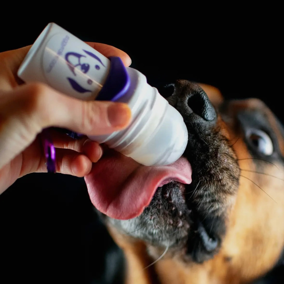 Doggy roller Le Palais Canin