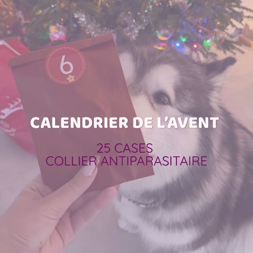 Calendrier de l’avent pour chien - 25 cases en collaboration avec Ô Couleurs des Pattounes Le Palais Canin