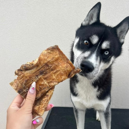 Palais de bœuf Le Palais Canin