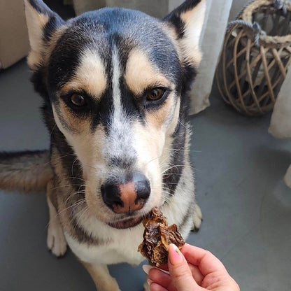 Estomacs de poulet Le Palais Canin