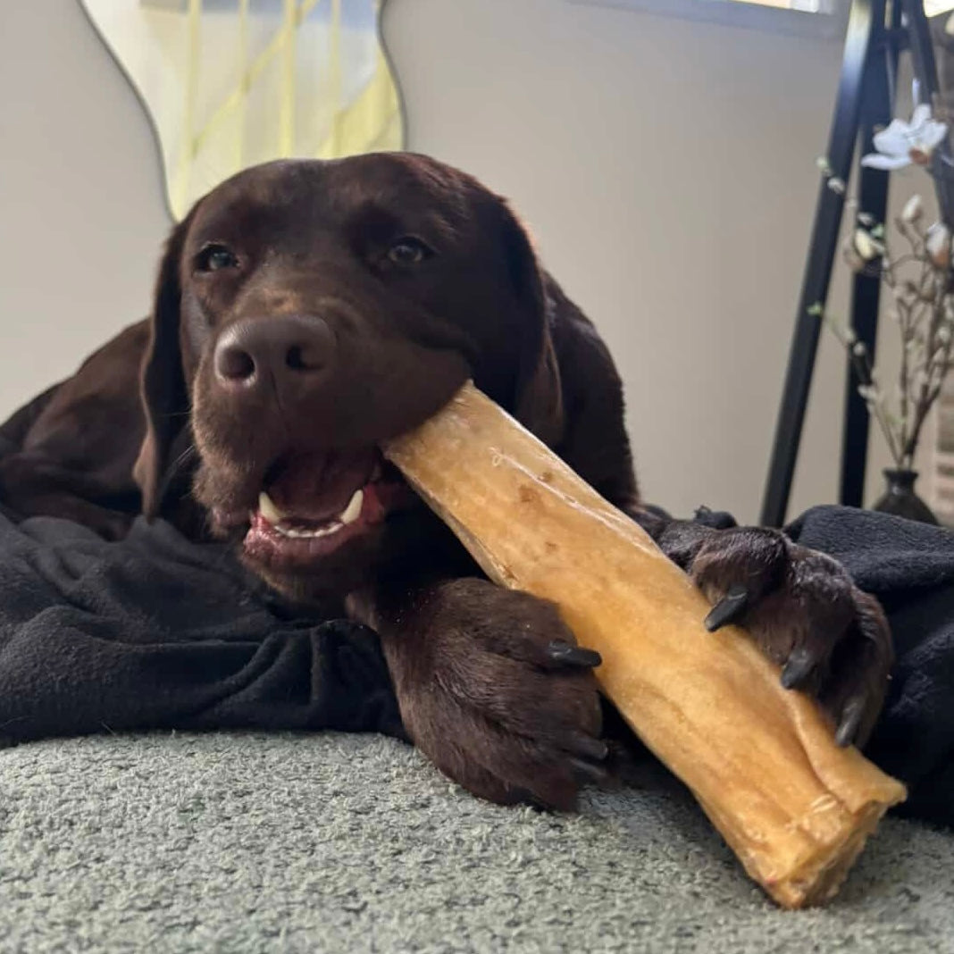 Rouleau de joue de bœuf Le Palais Canin