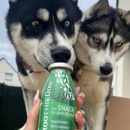 Smoothie - agneau SmoothieDog