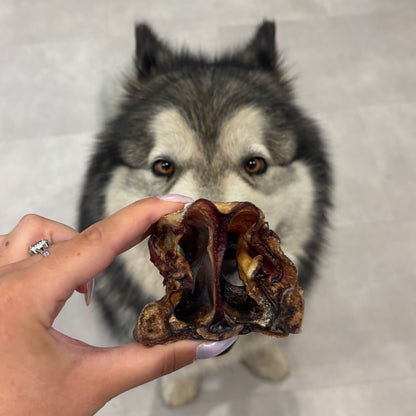 Nez de bœuf Le Palais Canin