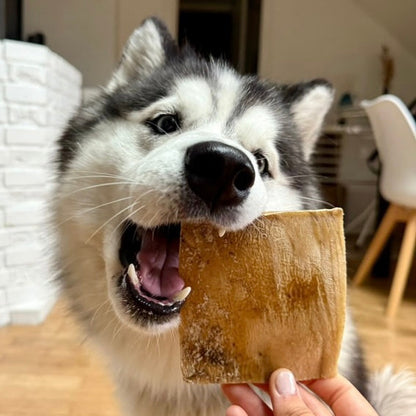 Chips de bœuf Le Palais Canin