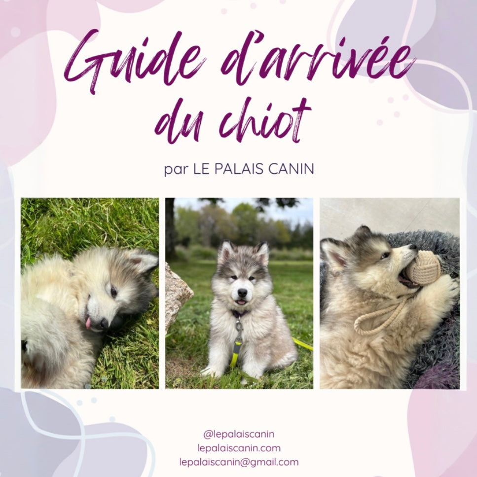 CROC'BABY - les essentiels chiots Le Palais Canin