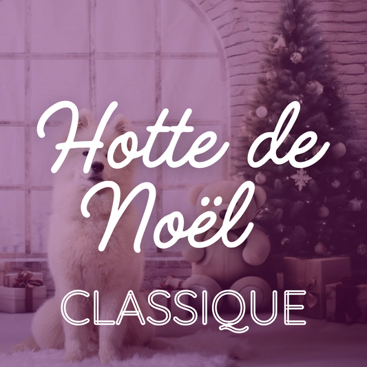 HOTTE DE NOËL CLASSIQUE - 24 cases Le Palais Canin