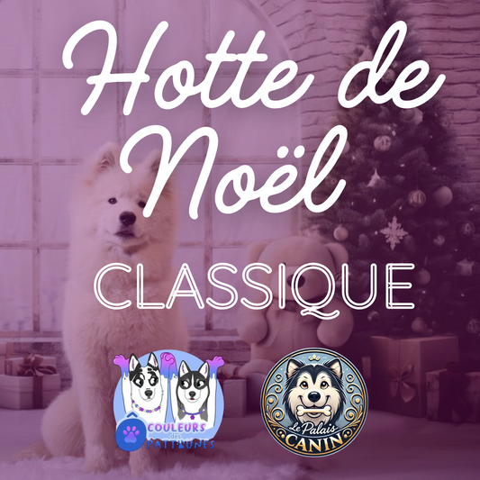 HOTTE DE NOËL CLASSIQUE - 25 cases (en collaboration avec Ô Couleurs des Pattounes) Le Palais Canin